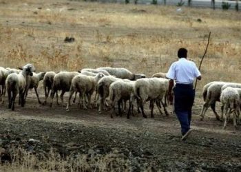 Ενημερωτικές συσκέψεις των Κτηνοτροφικών Συλλόγων ΑΜΘ