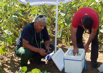 ΖΗΤΑΕΙ ΣΥΝΑΝΤΗΣΗ ΜΕ ΤΣΙΠΡΑ!  Σε απεργία πείνας «κατέβηκε»  ο Θέμης Καλπακίδης για τον TAP!