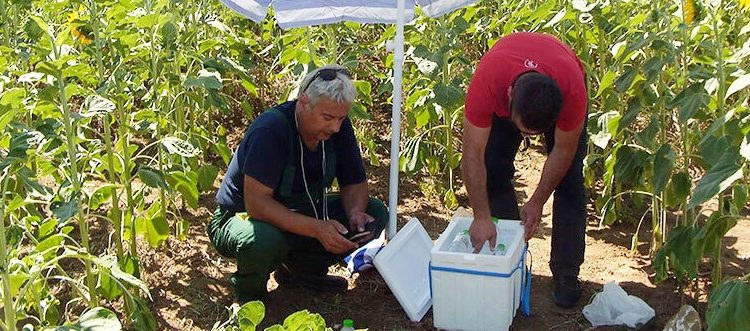 ΖΗΤΑΕΙ ΣΥΝΑΝΤΗΣΗ ΜΕ ΤΣΙΠΡΑ!  Σε απεργία πείνας «κατέβηκε»  ο Θέμης Καλπακίδης για τον TAP!