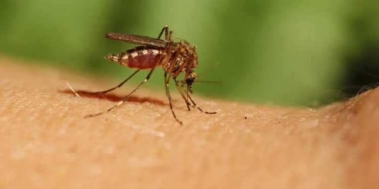 Σσσσσ….. Ψίθυροι – 55χρονος έκλεψε το πορτοφόλι 69χρονης από κατάστημα της Ξάνθης