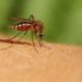 Σσσσσ….. Ψίθυροι – 55χρονος έκλεψε το πορτοφόλι 69χρονης από κατάστημα της Ξάνθης