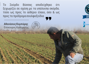 Πλεξούδα σκόρδων μήκους 300 μέτρων θα πλέξουν γυναίκες της Νέας Βύσσας