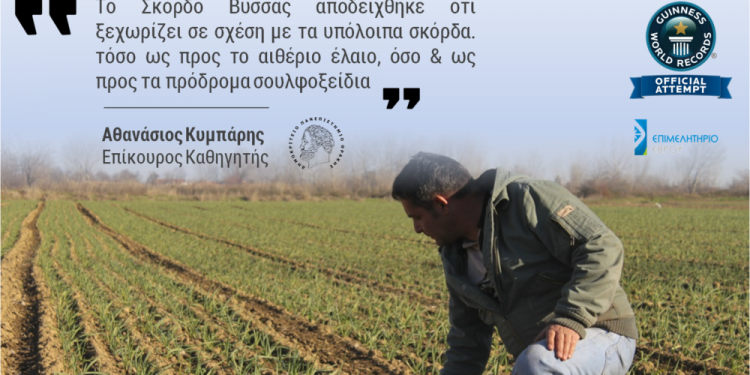 Πλεξούδα σκόρδων μήκους 300 μέτρων θα πλέξουν γυναίκες της Νέας Βύσσας