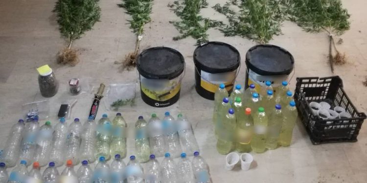 Συνελήφθη 60χρονος Έλληνας κατηγορούμενος για καλλιέργεια και κατοχή ναρκωτικών