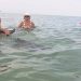 Δελφίνι κολυμπούσε ανάμεσα σε λουόμενους σε παραλία της Κομοτηνής