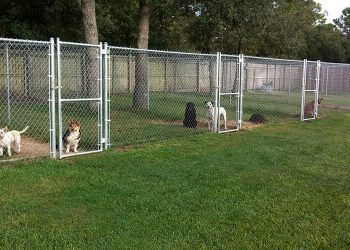 ΤΟ ΠΙΟ ΣΥΓΧΡΟΝΟ ΚΑΙ ΜΕΓΑΛΟ  κυνοκομείο υλοποιεί ο Δήμος Ξάνθης!