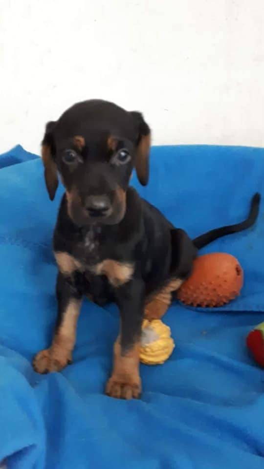 Φιλική νίκη για τον Άρη 0-1 την Ξάνθη μέσα στα Πηγάδια με γκολ του Γκιουνές!