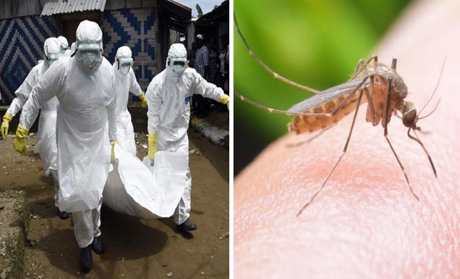 5 και 10 ευρώ τα εισιτήρια για τα φιλικά με ΑΕΛ & ΗΡΑΚΛΗ