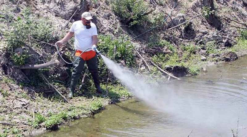 Π.Ε Ξάνθης | Ανακοίνωση για την καταπολέμηση των κουνουπιών