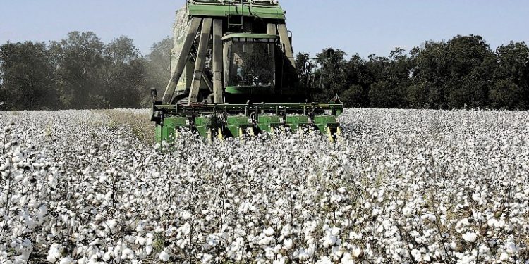 2 o ΤΕΧΝΙΚΟ ΔΕΛΤΙΟ ΓΕΩΡΓΙΚΩΝ ΠΡΟΕΙΔΟΠΟΙΗΣΕΩΝ ΟΛΟΚΛΗΡΩΜΕΝΗΣ ΦΥΤΟΠΡΟΣΤΑΣΙΑΣ ΣΤΗ ΒΑΜΒΑΚΟΚΑΛΛΙΕΡΓΕΙΑ ΤΗΣ Π.Ε ΞΑΝΘΗΣ- ΕΤΟΥΣ 2018