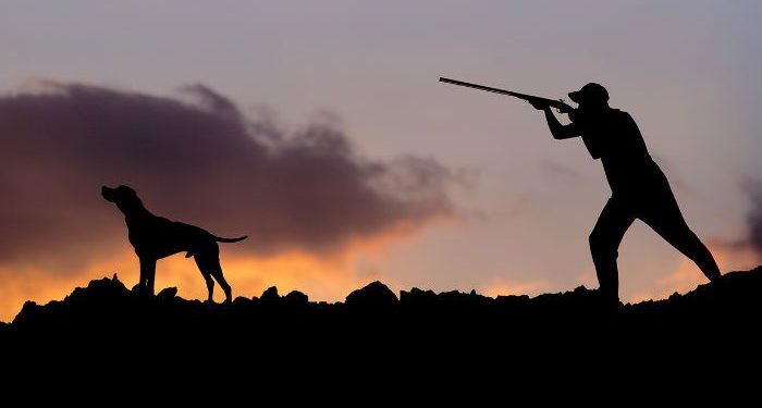 Έναρξη Κυνηγετικής Περιόδου – Κυνηγετική συμπεριφορά