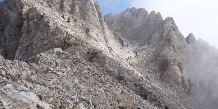 ΣΦΗΝΑΚΙΑ ΚΑΙ ΛΑΒΡΑΚΙΑ