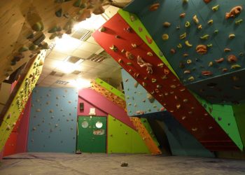 ΣΦΗΝΑΚΙΑ ΚΑΙ ΛΑΒΡΑΚΙΑ