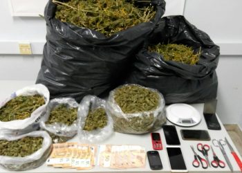 Οργανωμένη φυτεία διατηρούσαν τέσσερις νεαροί  σε δασική περιοχή του νομού Καβάλας