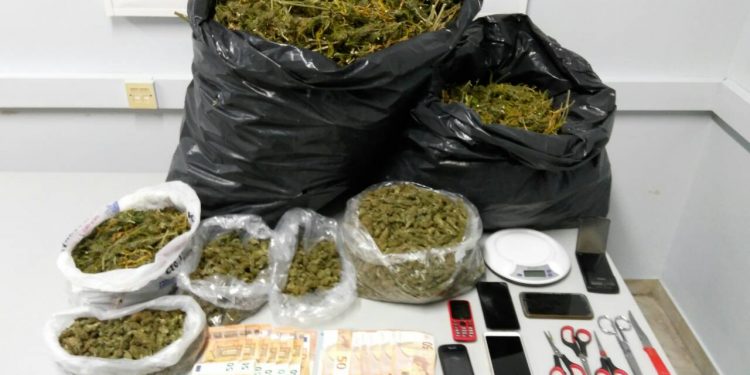 Οργανωμένη φυτεία διατηρούσαν τέσσερις νεαροί  σε δασική περιοχή του νομού Καβάλας