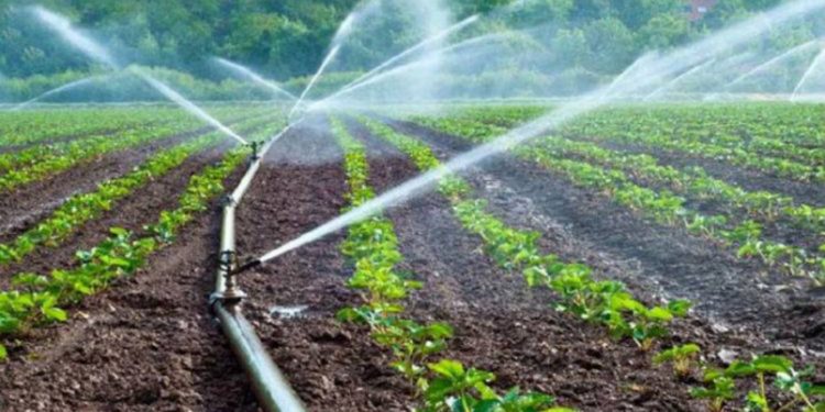 4.000 ΑΓΡΟΤΕΣ ΤΗΣ ΞΑΝΘΗΣ ΕΝΩΜΕΝΟΙ  Ζητούν την υλοποίηση του Αρδευτικού έργου Ξάνθης