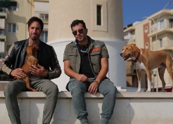 Πανελλήνια συγκίνηση για το αδέσποτο που βρέθηκε στην Κίρκη Έβρου!