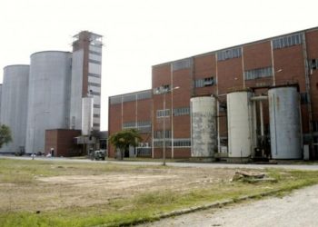 ΠΡΟΤΕΙΝΕΙ Η ΚΟΙΝΣΕΠ!  Επαναλειτουργία εργοστασίου ζάχαρης  Ξάνθης με…ελληνικό ζαχαροκάλαμο;!