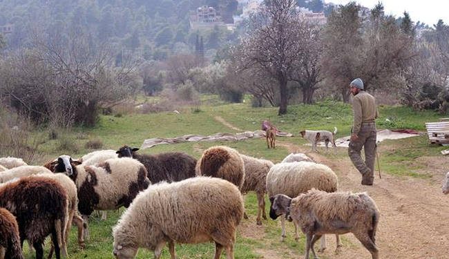 Ενστάσεις για τον νέο χάρτη της εξισωτικής από τους κτηνοτρόφους της ΑΜΘ που κάνουν λόγο για διαχωρισμό της Αν. Μακεδονίας από τη Θράκη