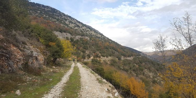 ΣΦΗΝΑΚΙΑ ΚΑΙ ΛΑΒΡΑΚΙΑ