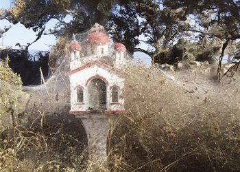 Απίστευτες φωτογραφίες: Τεράστιο «πέπλο» από ιστούς αράχνης «κατάπιε» 1000 μέτρα βλάστησης στη Βιστωνίδα