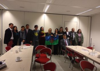 Σε συνάντηση για τους ΡΟΜΑ στις Βρυξέλλες παραβρέθηκε η Πρόεδρος του Πολιτιστικού Μορφωτικού Συλλόγου Γυναικών Δροσερού Ξάνθης, κα Σουλεϊμάν Σαμπιχά