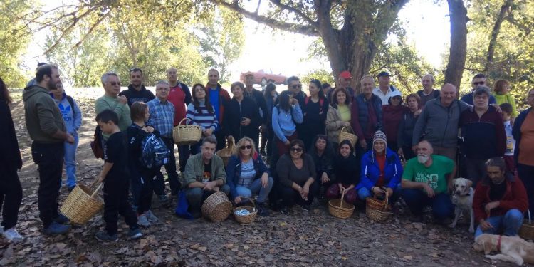 Φοβερή επιτυχία σημείωσε η 13η Πανελλήνια Φθινοπωρινή Γιορτή Μανιταρόφιλων ΑΜΘ στους Τοξότες Ξάνθης!