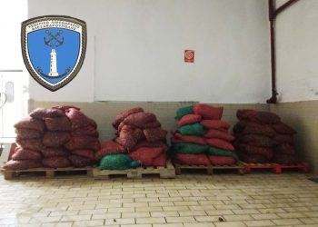 Δύο περίπου τόνοι ακατάλληλα όστρακα  κατασχέθηκαν στην Αλεξανδρούπολη