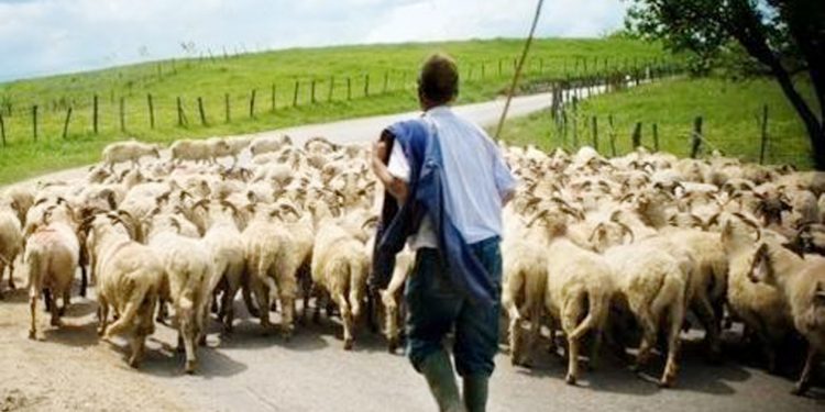 ΞΑΝΘΙΩΤΙΚΑ ΠΑΡΑΣΚΗΝΙΑ – Επίσκεψη από τα μέλη της Διπλωματικής Ακαδημίας του Υπουργείου Εξωτερικών στον Μητροπολίτης Ξάνθης