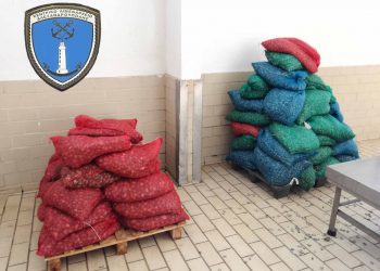 Αλεξανδρούπολη: Συνελήφθη με πάνω  από έναν τόνο ακατάλληλα όστρακα