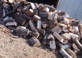 ΠΟΙΟΥΣ ΕΥΧΑΡΙΣΤΕΙ Ο ΔΗΜΑΡΧΟΣ ΜΥΚΗΣ 160 τόνοι!!! Διανομή καυσόξυλων  σε οικογένειες του Δήμου Μύκης!