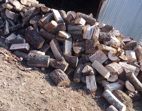 ΠΟΙΟΥΣ ΕΥΧΑΡΙΣΤΕΙ Ο ΔΗΜΑΡΧΟΣ ΜΥΚΗΣ 160 τόνοι!!! Διανομή καυσόξυλων  σε οικογένειες του Δήμου Μύκης!