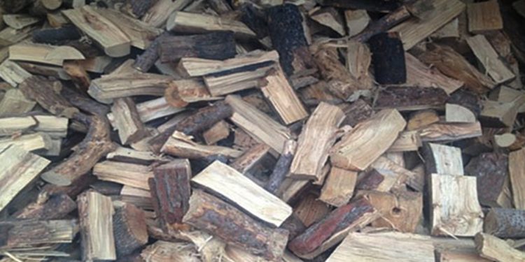 Δωρεάν διανομή 100 τόνων καυσόξυλων από την ΣΕΚΕ ΑΕ σε οικονομικά ευάλωτες οικογένειες του Δήμου Μύκης