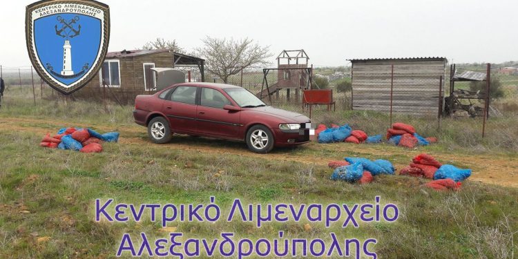 Καταδίωξη στο Δέλτα Έβρου με επικίνδυνους ελιγμούς και…πάνω από ένα τόνο ακατάλληλα όστρακα!