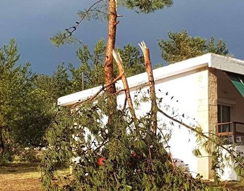 Αλεξανδρούπολη: 10 τραυματίες και καταστροφές σε καλλιέργειες από τη χαλαζόπτωση