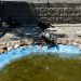 ΝΑ ΠΑΡΕΜΒΕΙ Ο…ΦΑΝΟΥΡΑΚΗΣ! Εικόνες ντροπής στα «παπάκια», έντονες διαμαρτυρίες από γονείς!