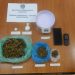 Σύλληψη δύο αλλοδαπών στη Θάσο με ένα κιλό κοκαΐνη