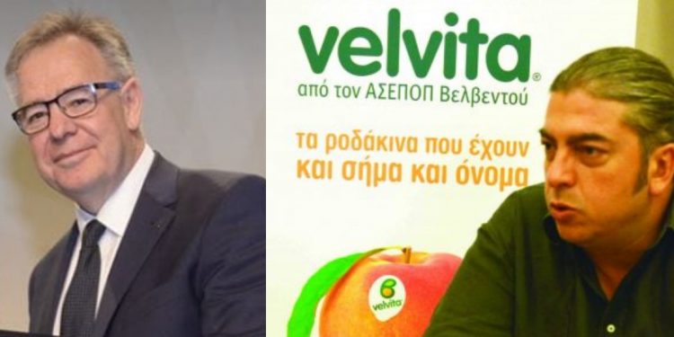 Η ΣΕΚΕ δυνατά στην αγορά των  ακτινιδίων την φετινή χρονιά! ΣΕ ΣΥΝΕΡΓΑΣΙΑ ΜΕ ΤΟΝ ΣΥΝΕΤΑΙΡΙΣΜΟ ΑΣΕΠΟΠ ΒΕΒΛΕΝΤΟΥ ΚΟΖΑΝΗΣ