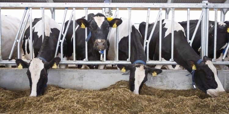 ΚΤΗΝΟΤΡΟΦΙΚΟΙ ΣΥΛΛΟΓΟΙ ΑΜΘ:  Χαριστική βολή οι αναδρομικές ποινές  του ΟΠΕΚΕΠΕ σε βάρος των Ελλήνων  Κτηνοτρόφων για τη δήλωση γεννήσεων!