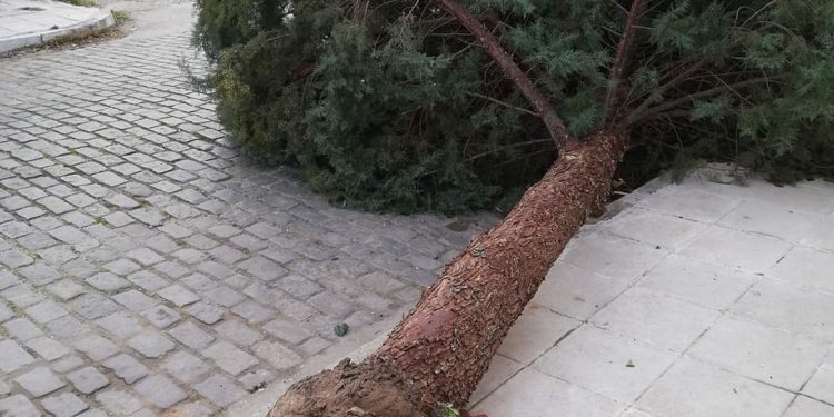 Ροδόπη: Θυελλώδεις άνεμοι και τσουχτερό κρύο
