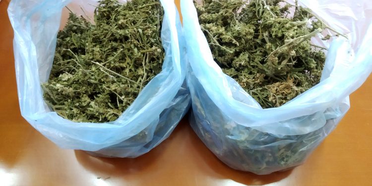 Συνελήφθη 47χρονη Ελληνίδα σε χωριό της Καβάλας με 690 γραμμάρια ακατέργαστης κάνναβης