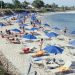 ΣΦΗΝΑΚΙΑ ΚΑΙ ΛΑΒΡΑΚΙΑ