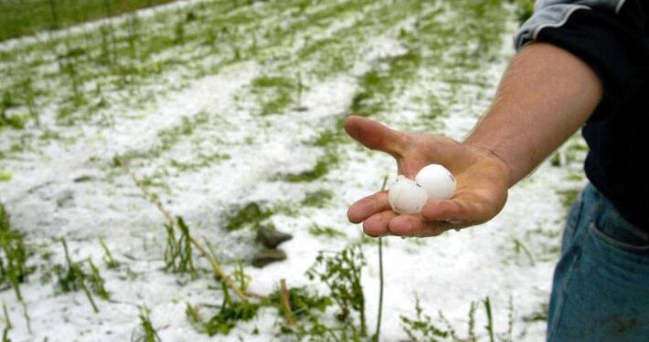 Κραυγή απελπισίας από τους παραγωγούς Ξάνθης – Ζητούν μέτρα στήριξης από το Υπουργείο Αγροτικής ανάπτυξης!