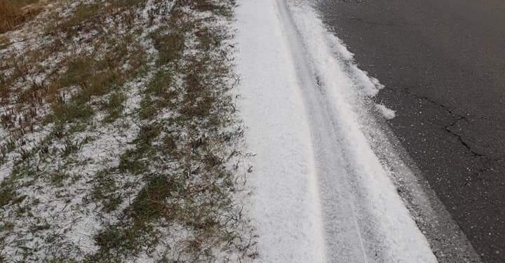 ΜΕΓΑΛΕΣ καταστροφές στα ακτινίδια στην περιοχή Γενισέας!