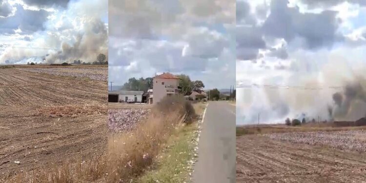 Νέα φωτιά στον Έβρο: Συναγερμός στην Πυροσβεστική – Καίει κοντά σε σπίτια
