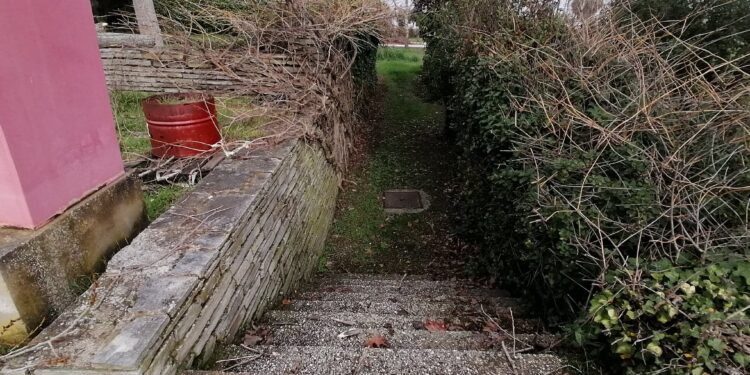 Επιστολή Ε. Στυλιανίδη για «Πρωτοβουλία Συλλόγου Ατόμων με κινητικά προβλήματα και φίλων Ν. Ροδόπης ΠΕΡΠΑΤΩ για  την αξιοποίηση του μέρους του camping Φαναρίου»