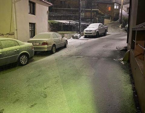 ΣΦΗΝΑΚΙΑ ΚΑΙ ΛΑΒΡΑΚΙΑ