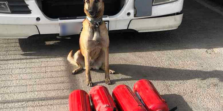 Τελωνείο Κήπων:  Η μύτη της «Laika» βρήκε πάνω από 8 κιλά κάνναβης κρυμμένη μέσα σε πυροσβεστήρες!