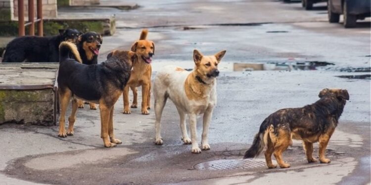 Σσσσ….Ψίθυροι – Καβάλα: Τρύπωσε σε σχολείο και έκλεψε την… καθαρίστρια!