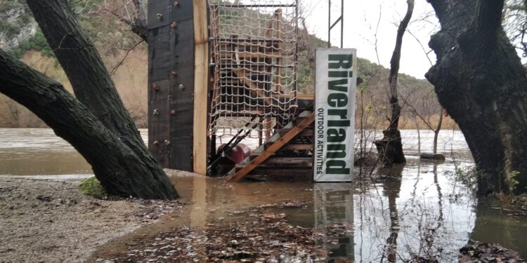 ΣΦΗΝΑΚΙΑ ΚΑΙ ΛΑΒΡΑΚΙΑ